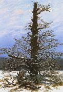 Caspar David Friedrich Oak Tree in the Snow (mk10) oil painting picture wholesale